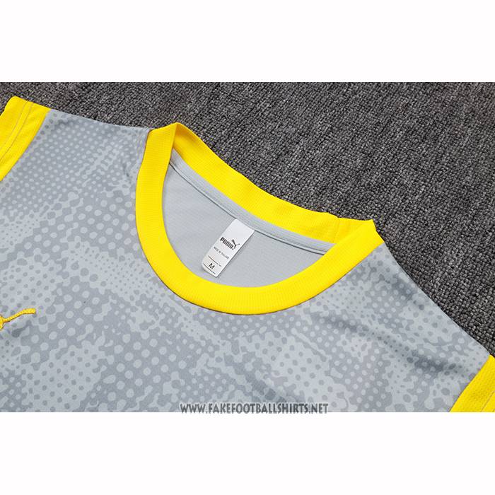 Borussia Dortmund Training Shirt Without Sleeves 2025-2026 Grey